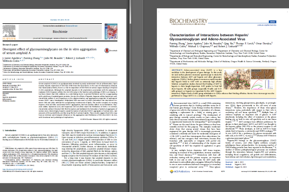 Divergent effect of glycosaminoglycans on the in vitro aggregation of serum amyloid A (http://dx.doi.org/10.1016/j.biochi.2014.05.007). Characterization of Interactions between eparin/Glycosaminoglycan and Adeno-Associated Virus (http://dx.doi.org/10.1021/bi4008676)