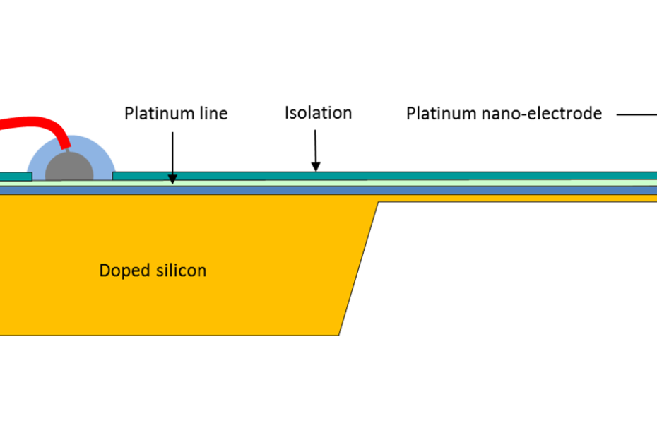 Schematic of a wired and insulated NANOSENSORS Doped silicon ElectroChemical AFM Probe for combined AFM and ElectroChemical studies (EC-Probes).