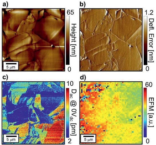 Figure 1 from Nino Schön et al. «Signal Origin of Electrochemical Strain Microscopy and Link to Local Chemical Distribution in Solid State Electrolytes”: a) Topography, b) deflection error, and c) corresponding cantilever deflection change (Dac) map of a 30 µm × 30 µm area of LATP. d) Noncontact EFM amplitude map in the same area. NANOSENSORS conductive platinum-iridium coated PointProbe Plus PPP-EFM AFM probes were used.