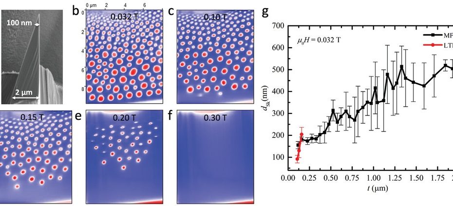 Figure 4 from “Magnetic Skyrmions in a Thickness Tunable 2D Ferromagnet from a Defect Driven Dzyaloshinskii–Moriya Interaction” by Anirban Chakraborty et al. Thickness dependence of skyrmion size in lamella L2 as imaged by MFM. a) SEM image of the wedge-shaped lamella. The thickness of the lamella varies from ≈100 nm to ≈2 µm. b) MFM image of skyrmions in the lamella at 100 K and 0.032 T. c–f) Evolution of skyrmions as the field is increased from 0.1 to 0.2 T and finally reaches the field polarized state at ≈0.3 T. The blue and red contrast in the MFM images represent up- and down-magnetized domains. All MFM images are at the same scale: a scale bar is shown in (b). g) Skyrmion diameter as a function of lamella thickness including both MFM and LTEM data. NANOSENSORS SSS-MFMR AFM probes for magnetic force microscopy were used for all MFM measurements.