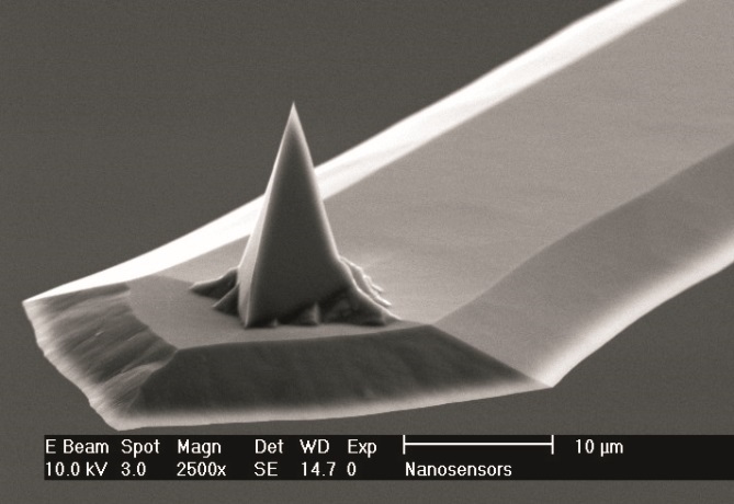 NANOSENSORS™ PointProbe® Plus AFM probe 3D view - research driven excellence since 1990