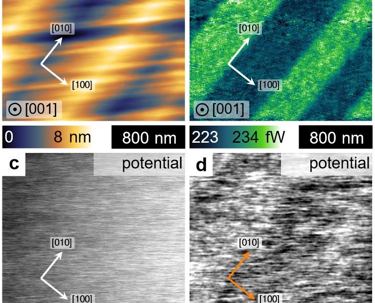 Supplementary Figure 1 a – d from “Macroscopic manifestation of domain-wall magnetism and magnetoelectric effect in a Néel-type skyrmion host” by K. Geirhos et al: Typical ferroelectric do-main pattern observed on the (001) cleaved GaV4Se8 crystal surface atT=10 K. a, The topography is characterized by stripes roughly parallel to the [110] axis and folds parallel to the [010] axis. The latter originate in the differently oriented distortion of the ferroelastic domains. The color scale corresponds to the z-displacement of the tip. b ,In the dissipation channel of the nc-AFM every second domain appears bright. For the non-magnetic tip the dissipation originates from electric interactions. The dissipated power is indicated by the color scale. Please have a look at the full article to view the full supplementary figure. NANOSENSORS Platinum Silicide PtSi-FM AFM probes were used for the imaging.