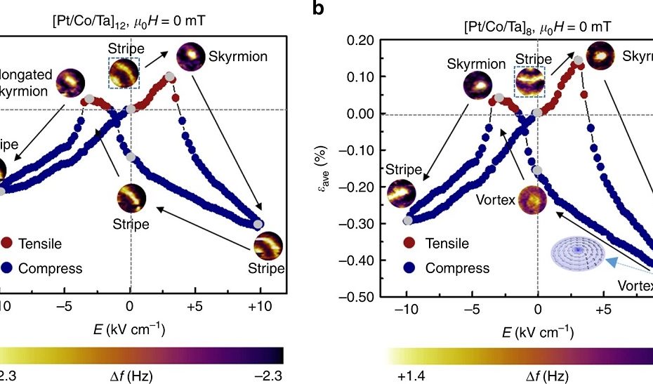 Figure 2 from “Electric-field-driven non-volatile multi-state switching of individual skyrmions in a multiferroic heterostructure” by Yadong Wang et al.: Electric-field-induced switching of individual skyrmion. The transferred average strain εave and corresponding magnetic domain evolution processes in the d ~ 350 nm a [Pt/Co/Ta]12 and b [Pt/Co/Ta]8 nano-dots in a cycle of E ranging from +10 to −10 kV cm−1. Positive εave (red dots) represents tensile strain while negative εave (blue dots) represents compressive strain. μ0H represents the external magnetic field except that from the MFM tip and here μ0H is equal to be 0 mT. The inset of b illustrates the spin texture of the magnetic domain that is encompassed by the red box. The stripe domain enclosed by the black box shows the initial state of the magnetic domain evolution path. The gray dots represent the corresponding electric field for the MFM images. The MFM contrast represents the MFM tip resonant frequency shift (Δf). The scale bar represents 250 nm. NANOSENSORS™ PPP-LM-MFMR low moment magnetic AFM probes were used