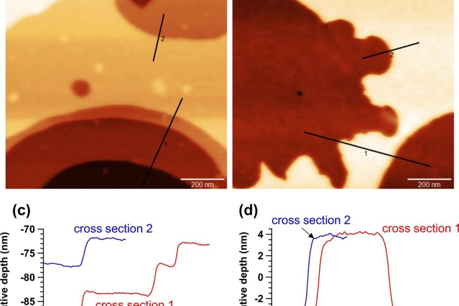 Fig. 4 from : Rapid access to discrete and monodisperse block co-oligomers from sugar and terpenoid toward ultrasmall periodic nanostructures by Takuya Isono et al. Thin-film morphologies of Glc3-b-Sol and Glc4-b-Sol. AFM height images (a, b) and corresponding cross-sectional profiles (c, d) indicating the formation of 6–8-nm-thick horizontal lamellae in Glc3-b-Sol (a, c) and Glc4-b-Sol thin films (b, d). Thin-film samples were prepared by spin-coating the BCO solution onto the hydrophilic surface of a silicon substrate followed by thermal annealing at 85 °C for 1 h. NANOSENSORS PointProbe Plus PPP-NCHR standard silicon tapping mode AFM probes and NANOSENSORS SuperSharpSilicon high resolution silicon AFM probes were used