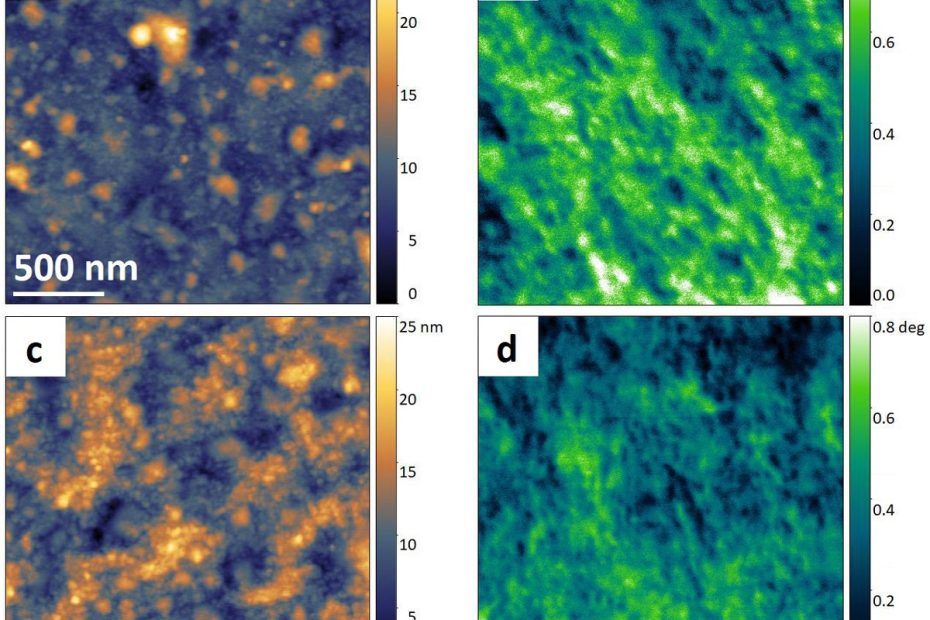 Fig. 6 from “On the magnetic nanostructure of a Co–Cu alloy processed by high-pressure torsion” by Martin Stückler et al.: 2 μm × 2 μm AFM scans of (a) as-deformed state and (c) 300 °C annealed state. The corresponding MFM scans of the as-deformed and 300 °C annealed state are shown in (b) and (d) respectively. The axial direction of the HPT specimen points out of the plane, the shear direction is in horizontal direction. The lateral scale bar in (a) applies to all scans. The minimum height and phase signal values are shifted to zero for visualization purposes. NANOSENSORS SSS-MFMR magnetic AFM probes optimized for high resolution magnetic force microscopy were used
