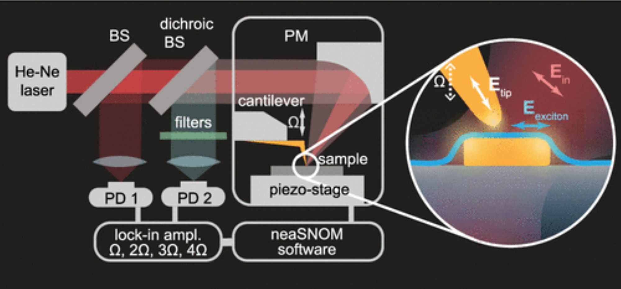 Figure 2 from Anastasia Romashkina et al.2025, “Enhanced Exciton–Plasmon Interaction Enabling Observation of Near-Field Photoluminescence in a WSe2–Gold Nanoparticle Hybrid System”, Near-field optical microscope. Excitation and detection scheme in s-SNOM for the investigation of near-field photoluminescence.The s-SNOM is based on a tapping-mode atomic force microscope and uses a gold coated NANOSENSORS AdvancedTECTM ATEC-NCAu tip-view AFM probe.