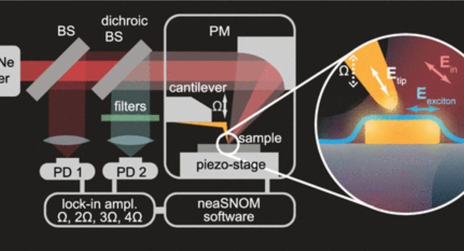 Figure 2 from Anastasia Romashkina et al.2025, “Enhanced Exciton–Plasmon Interaction Enabling Observation of Near-Field Photoluminescence in a WSe2–Gold Nanoparticle Hybrid System”, Near-field optical microscope. Excitation and detection scheme in s-SNOM for the investigation of near-field photoluminescence. The s-SNOM is based on a tapping-mode atomic force microscope and uses a gold coated NANOSENSORS AdvancedTECTM ATEC-NCAu tip-view AFM probe.