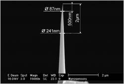 AR5 AFM tip close up AR5 AFM tip close up