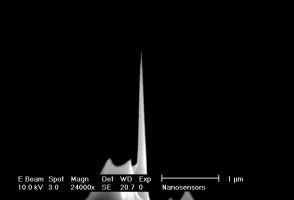 High Aspect Ratio AFM Tips