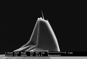 High-aspect-ratio tilt-compensated AR10T AFM tip side view