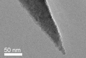 PointProbe® Plus AFM tip closeup