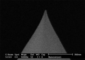 PPP-LC-MFMR AFM tip closeup