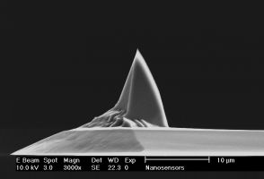 PointProbe® Plus rotated AFM tip side view