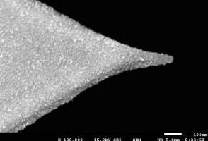 Platinum Silicide AFM Tips