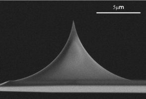 uniqprobe AFM tip side view