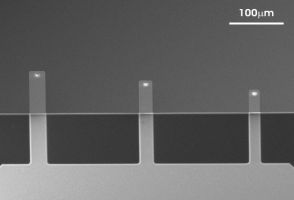 uniqprobe qp-BioAC AFM cantilevers top view