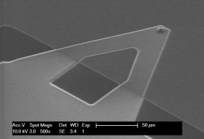 uniqprobe qp-HBC AFM cantilever 3D view