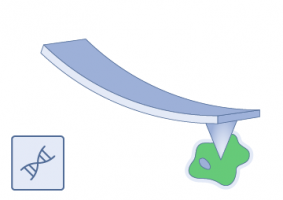 Biological Applications / Soft Contact Measurement AFM Probes