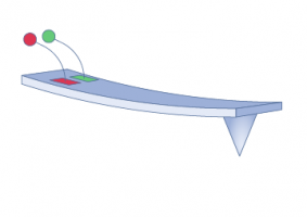 Self-Sensing & Self-Actuating AFM Probes