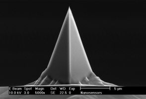 Front view SEM image of PointProbe® Plus AFM tip